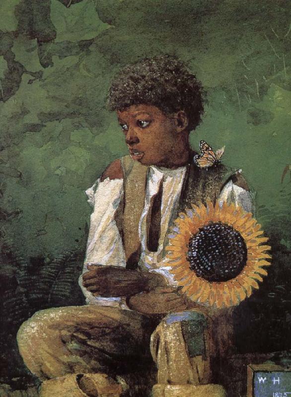 Winslow Homer Dedicated to the teacher s sunflower China oil painting art